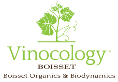 Vinocology