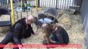 Connecting Animals, humans, and our planet with Jameson Humane owner Monica Stevens!