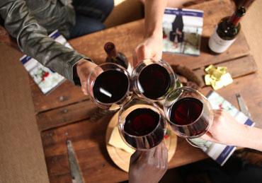 Wine Society Induldge