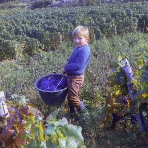 Jean-Charles Boisset Growing Up Jean-Charles Boisset Growing Up