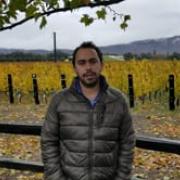 2020 Chateau Buena Vista Oakville Cabernet Sauvignon